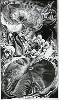 Artist Gertrude Hermes: Waterlilies, 1930